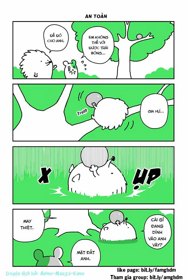 nhím harry chapter 3 1