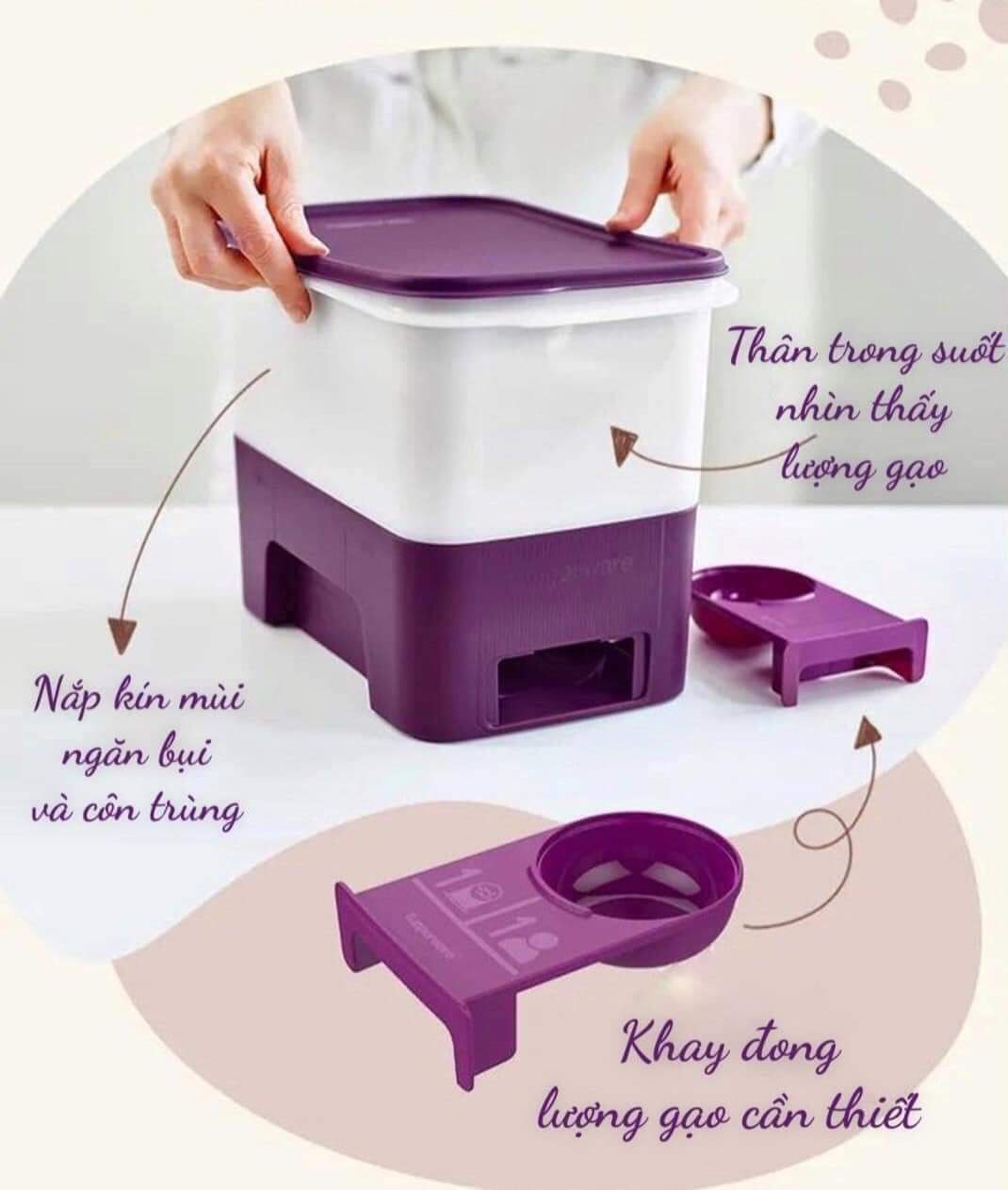 Thùng gạo Rice Smart Junior 5kg Tupperware - Hàng chính hãng