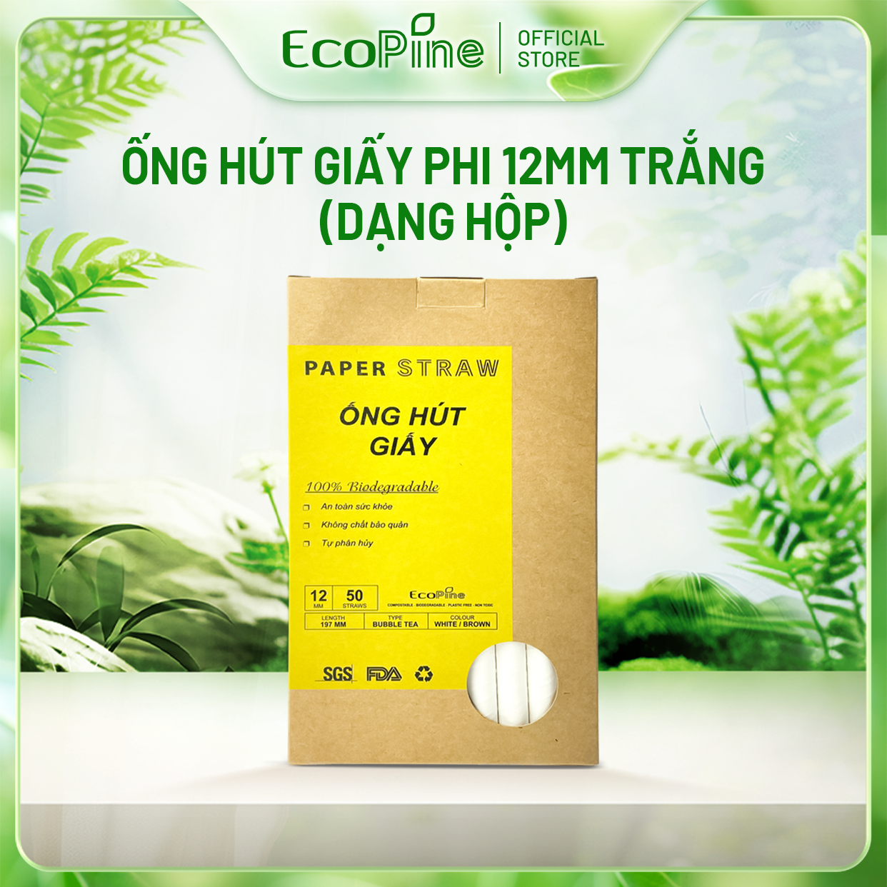 Hộp 50 ống hút giấy phi 12mm trắng ECOPINE - Dùng cho hút trân châu, sinh tố, smoothie