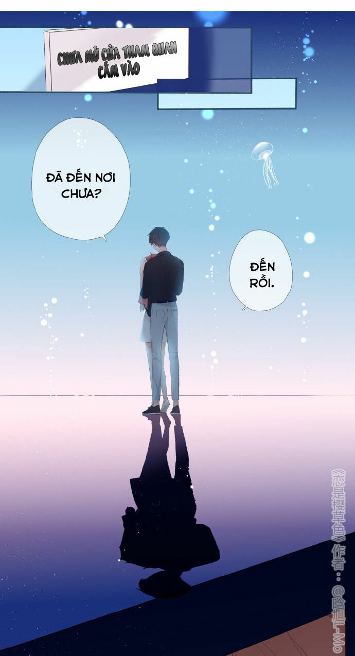 Tình yêu là màu hoa anh thảo chapter 37.3 17