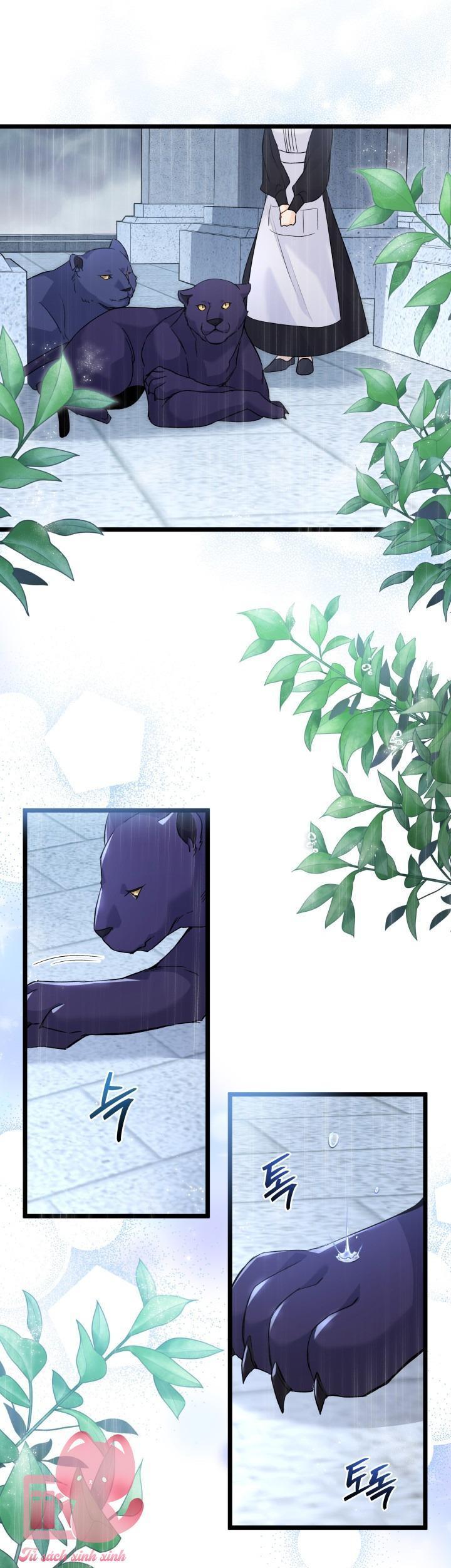 quan hệ cộng sinh giữa báo đen và thỏ trắng chapter 121 25