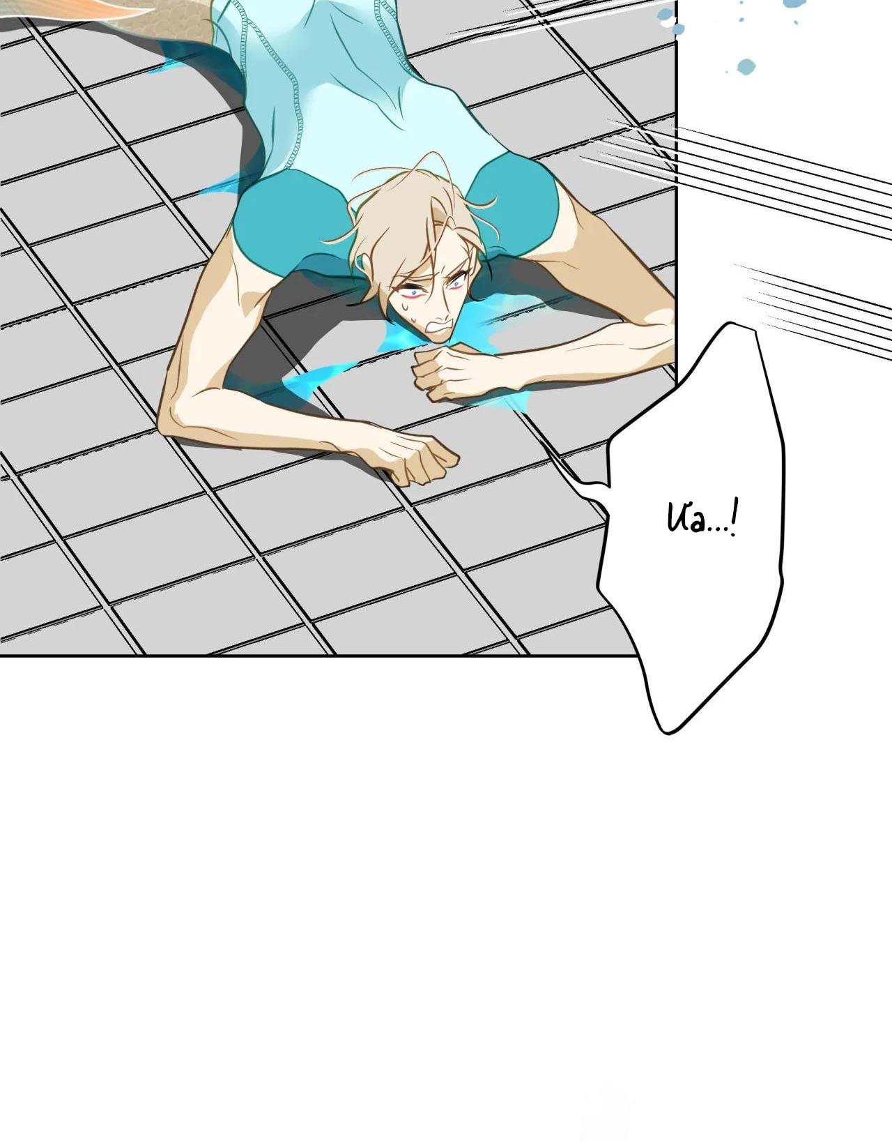 mỹ nhân ngư chapter 12 20