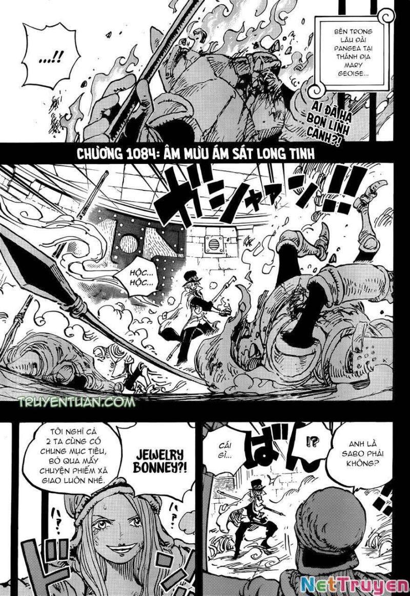 đảo hải tặc - one piece chapter 1084 3