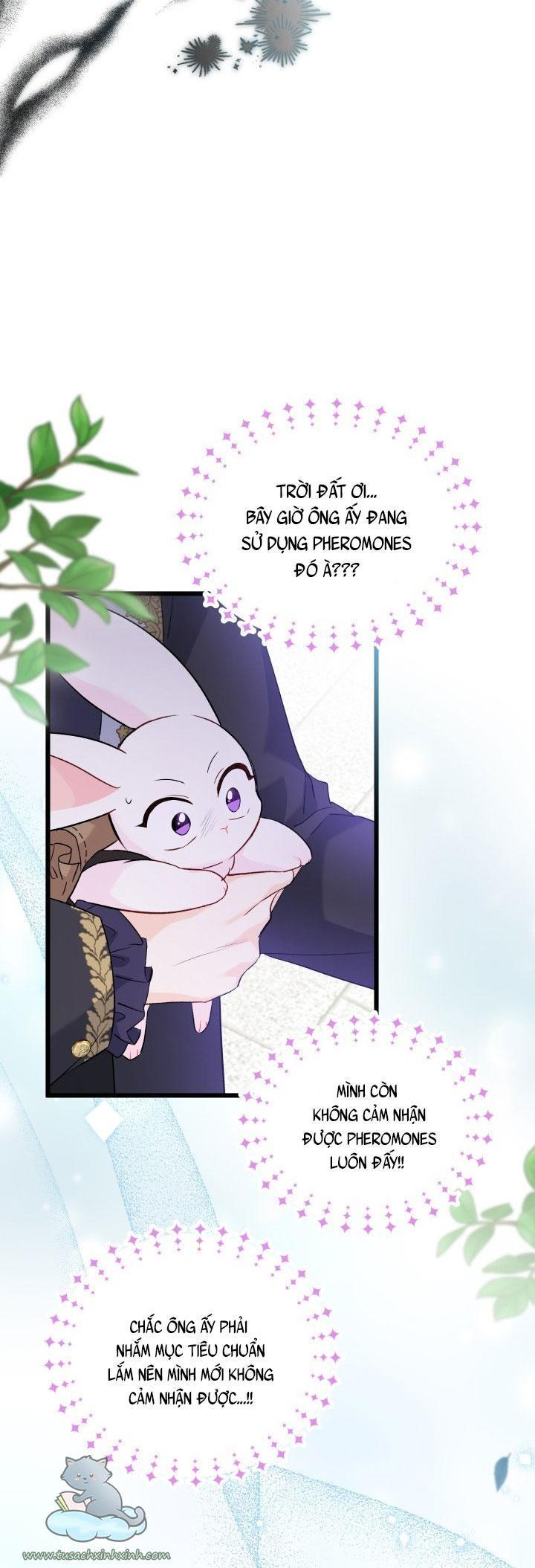 quan hệ cộng sinh giữa báo đen và thỏ trắng chapter 60 52