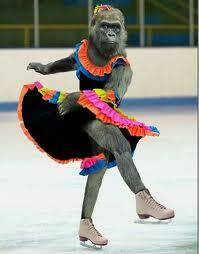 hình ảnh hài hước new chapter 1 12