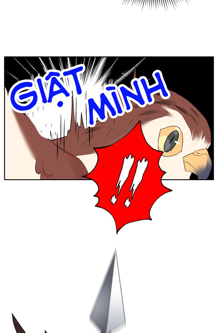 công chúa của loài chim chapter 7 24