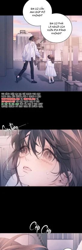 cây nấm nhỏ chapter 52 16