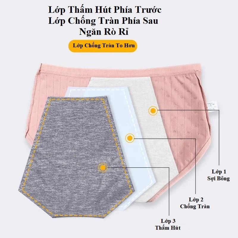 Quần Lót Nữ Nguyệt San Chống Tràn Có Túi Đựng Miếng Dán Giữ Ấm Bụng 006