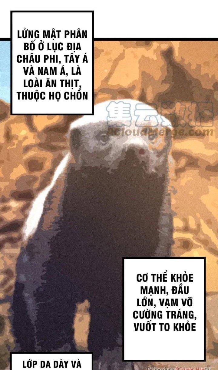 từ cây cổ thụ bắt đầu tiến hóa chapter 26 2