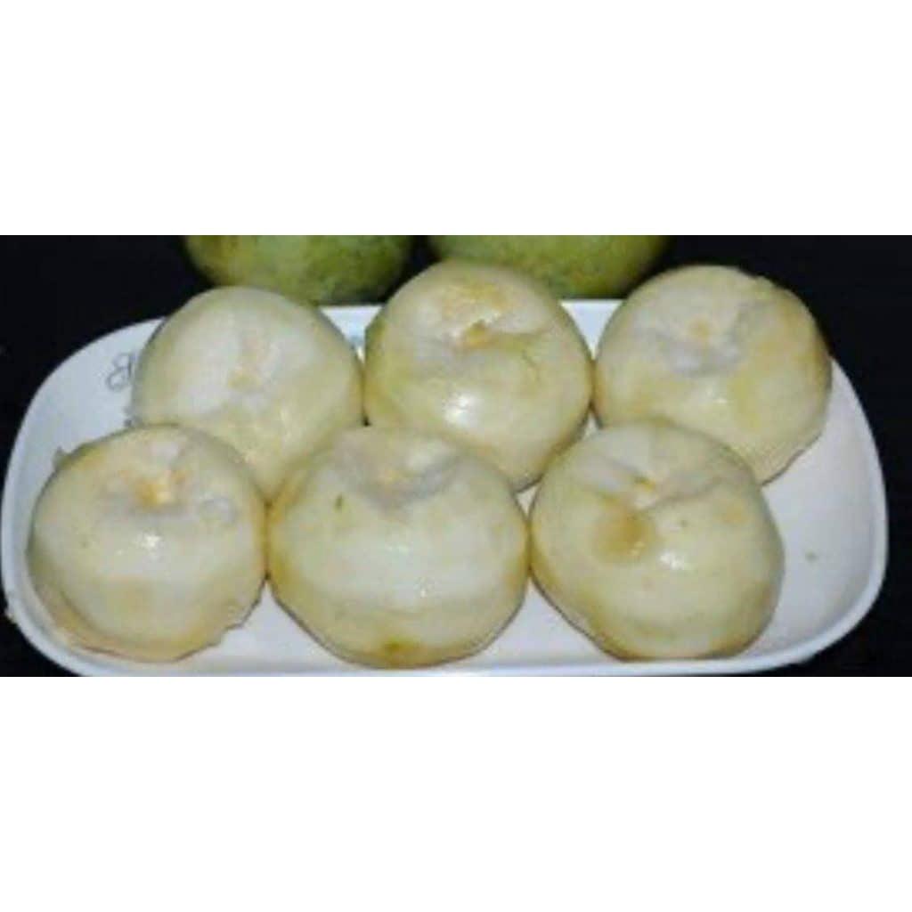 Cây giống BÁNH KEM ( Whtie Sapote), quả ăn  hương vị như bánh kem