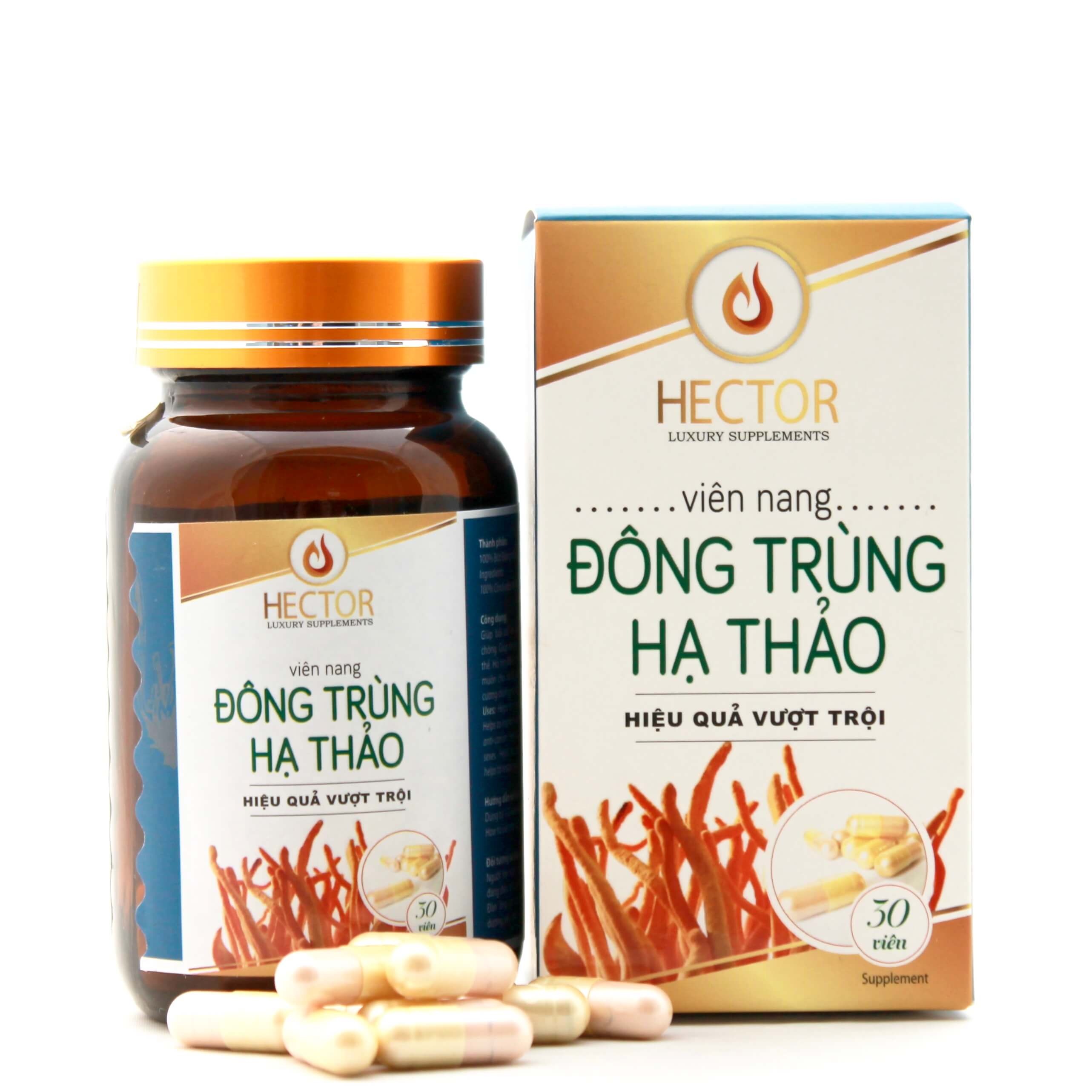 Viên Nang Nấm Đông Trùng Hạ Thảo Hector 