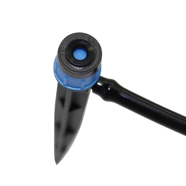 10 Cây Cắm Xòe Tưới Gốc 17cm