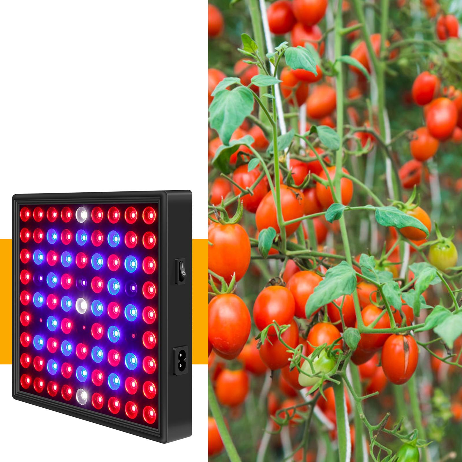 Bảng 169 Đèn Led Quang Hợp Trồng Cây Trong Nhà