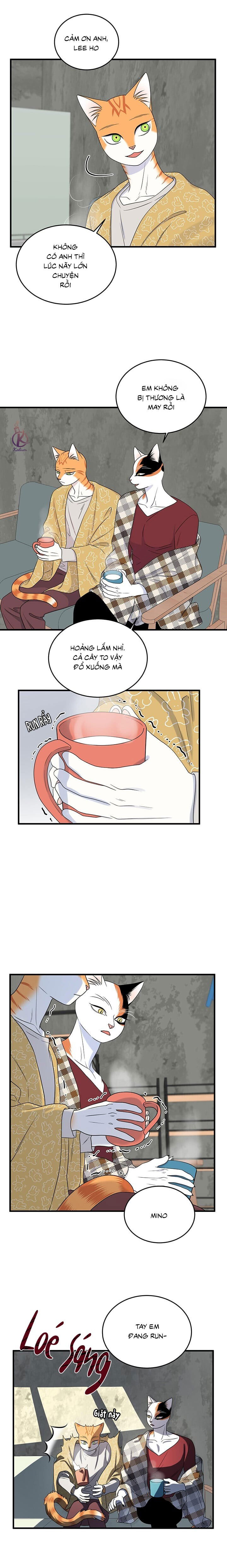 dự án xanh chapter 47 2