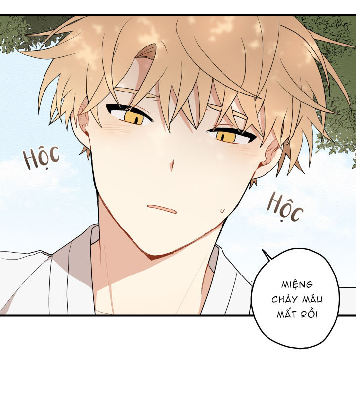 đường hoa liên kiều rơi chapter 20 7