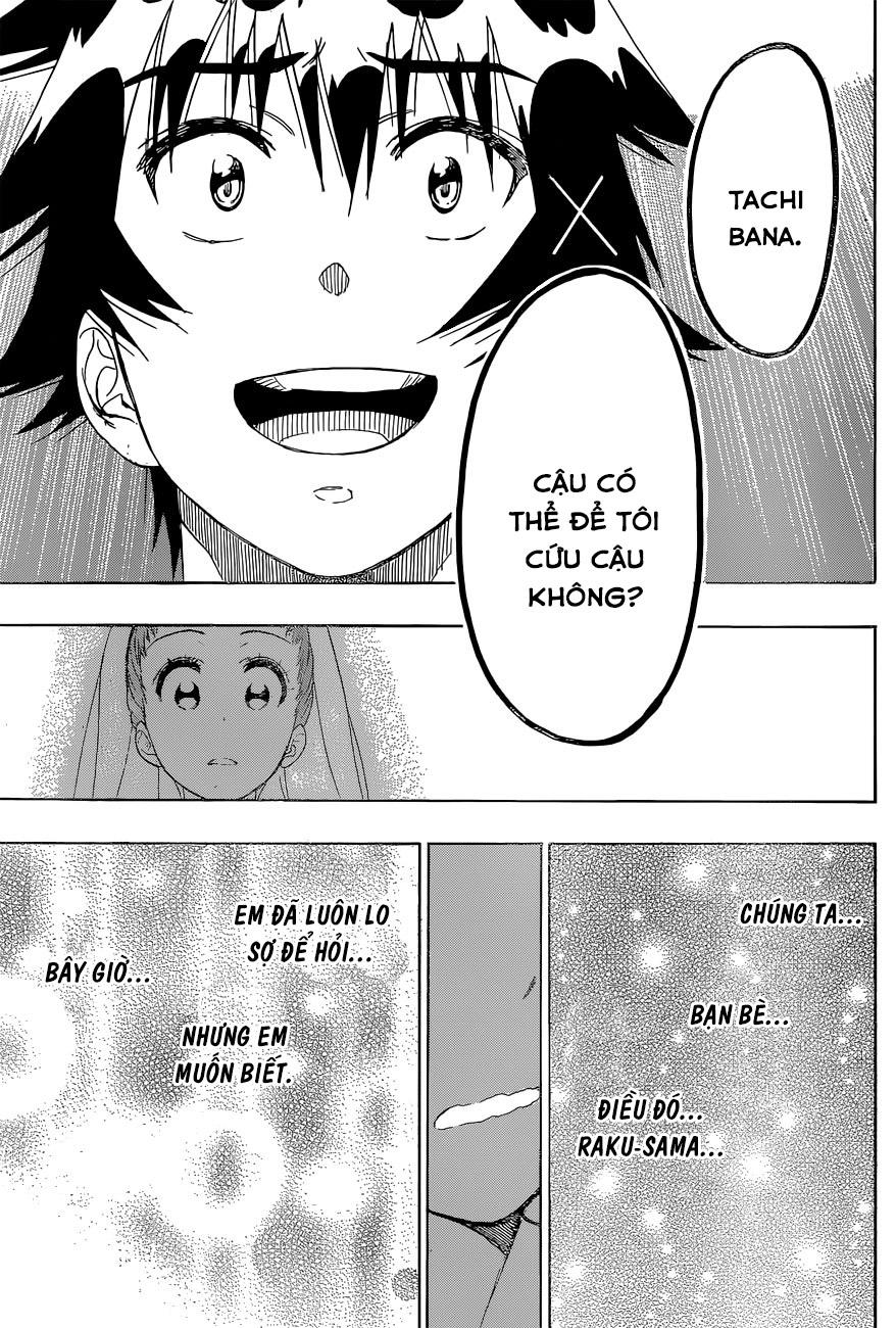 nisekoi - tình yêu giả tạo chapter 190 12