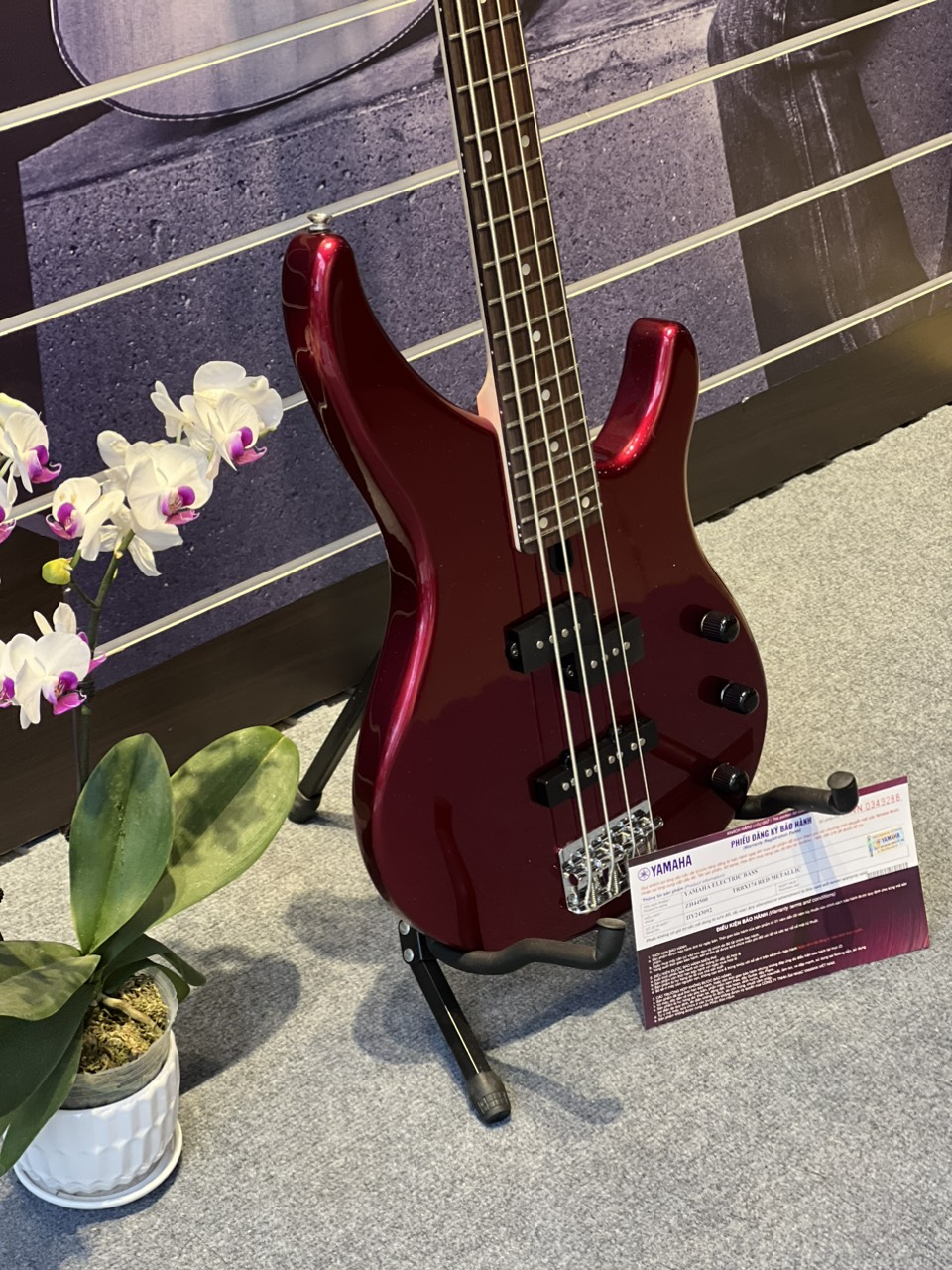 Đàn guitar bass điện Yamaha TRBX174-Hàng chính hãng
