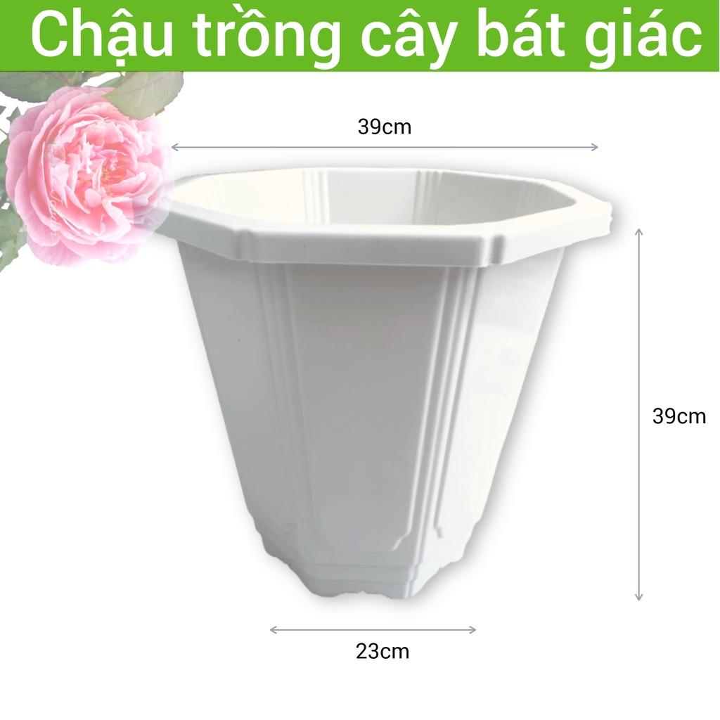 Chậu nhựa trồng cây cảnh hình bát giác cao 39cm