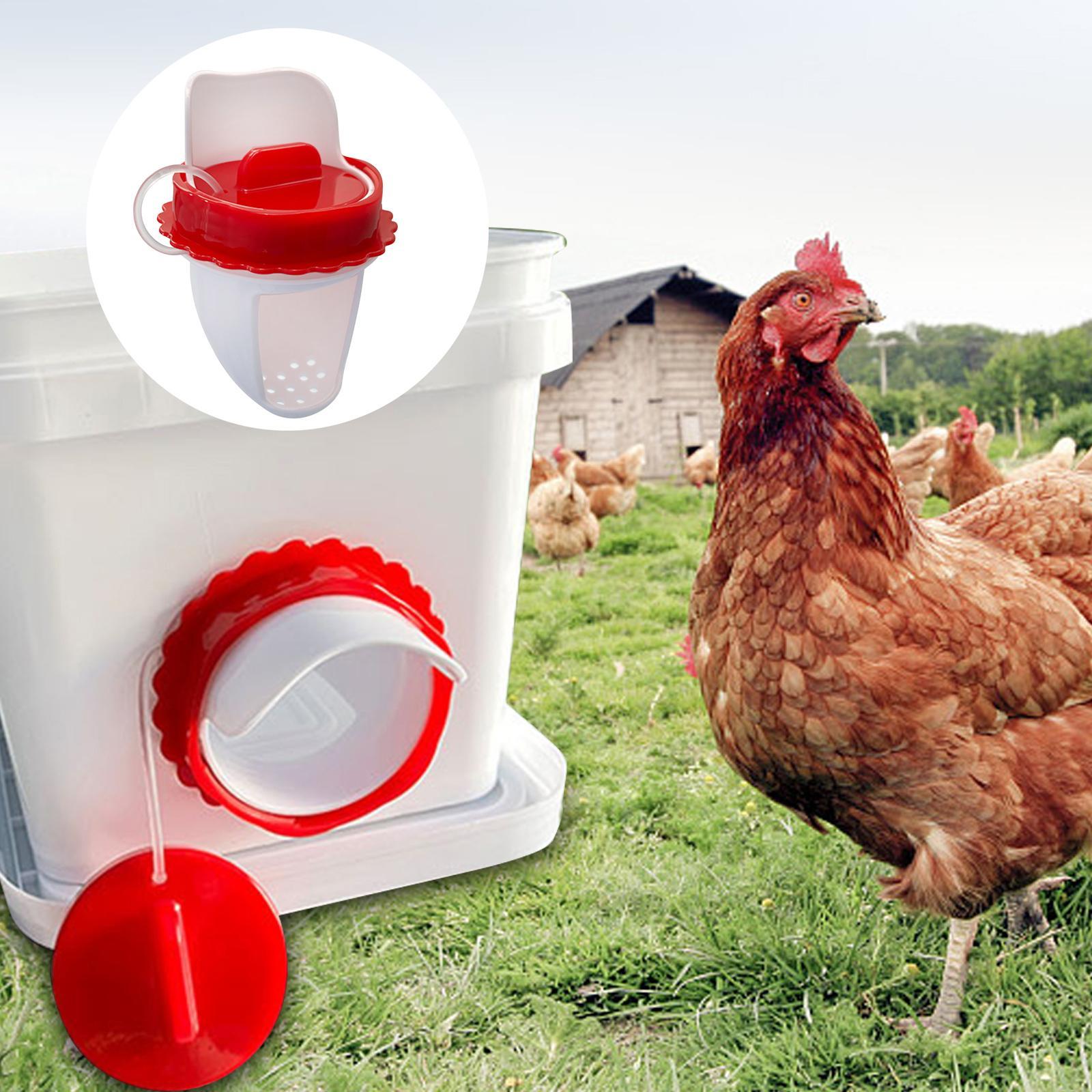 Poultry Feeders Weather Resistant Automatic Chicken Feeders for Boxes Tanks