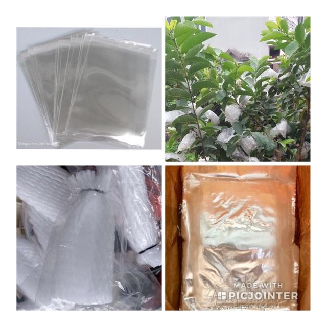 TÚI NILON BAO TRÁI ỔI  2kg