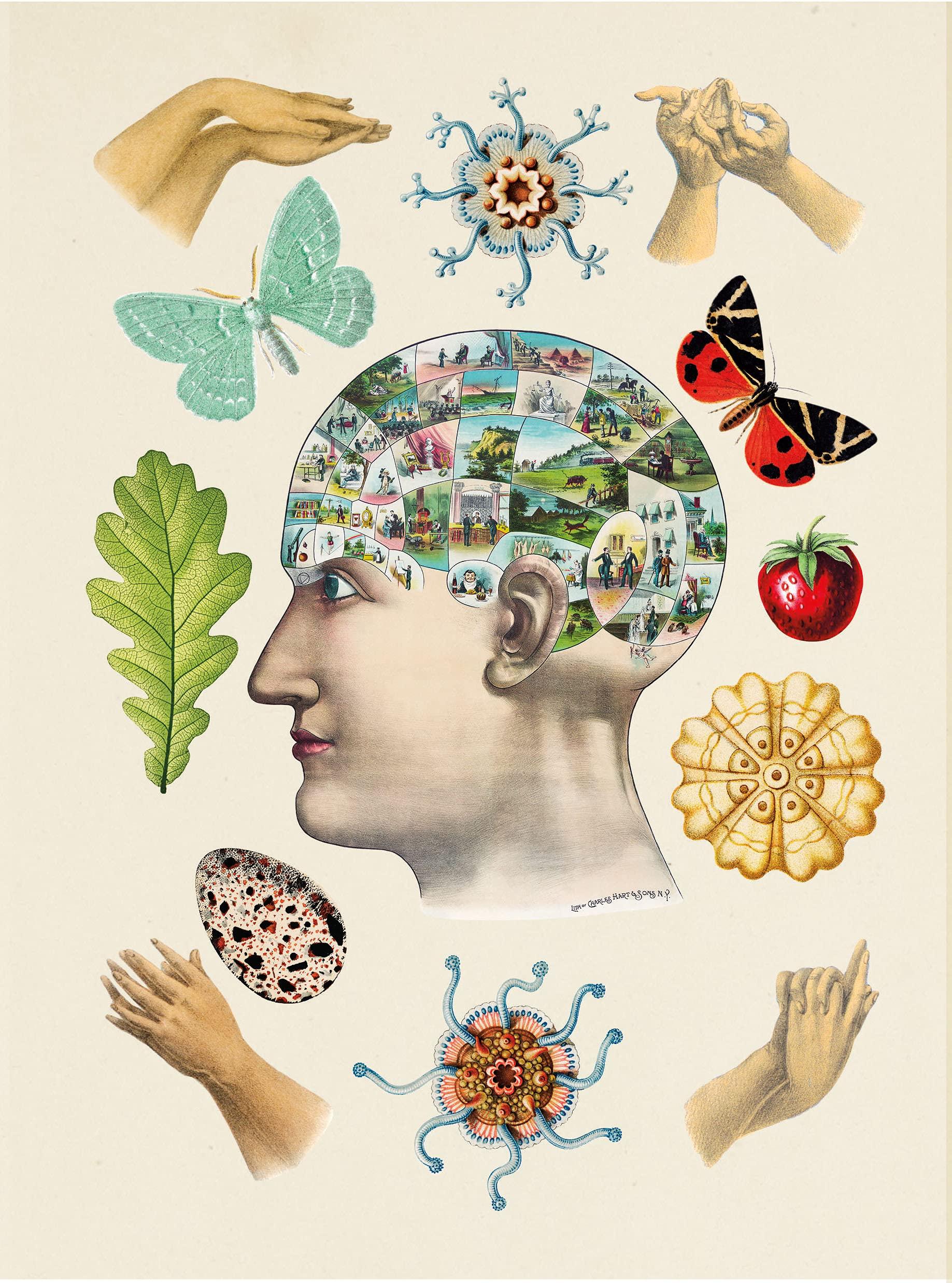 Sách ngoại văn: The Antiquarian Sticker Book: Over 1,000 Exquisite Victorian Stickers