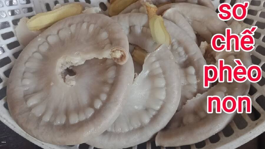 sự lụi tàn của usuzumi chapter 104 35