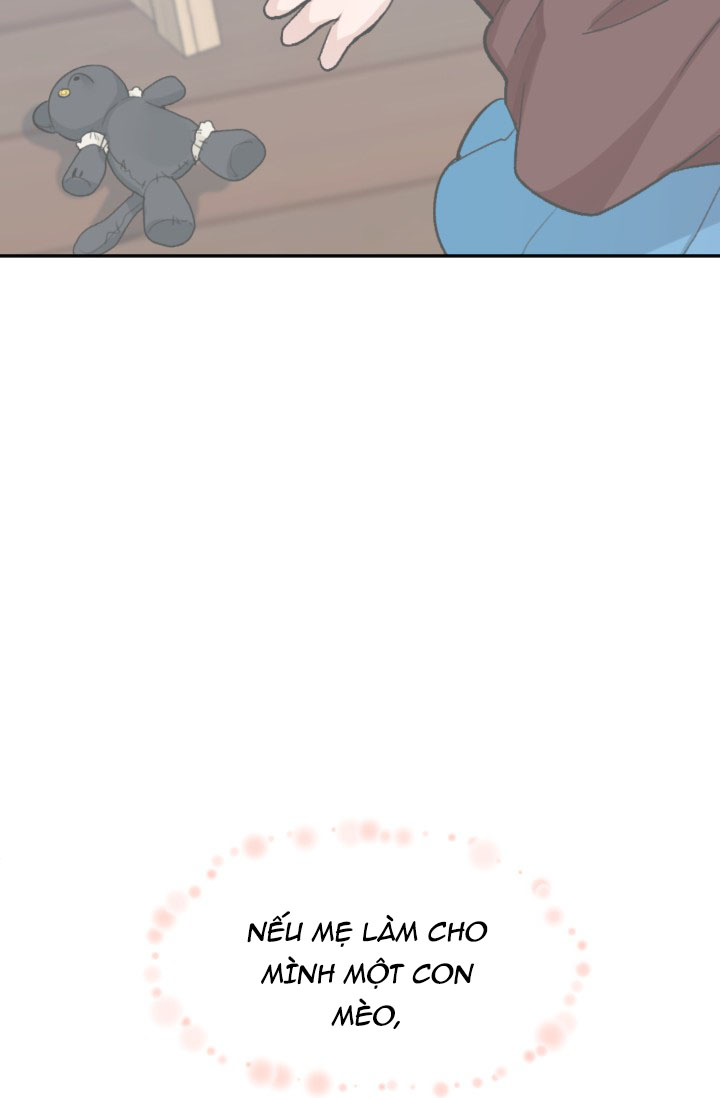 bước đi trên con đường hoa chapter 4 67