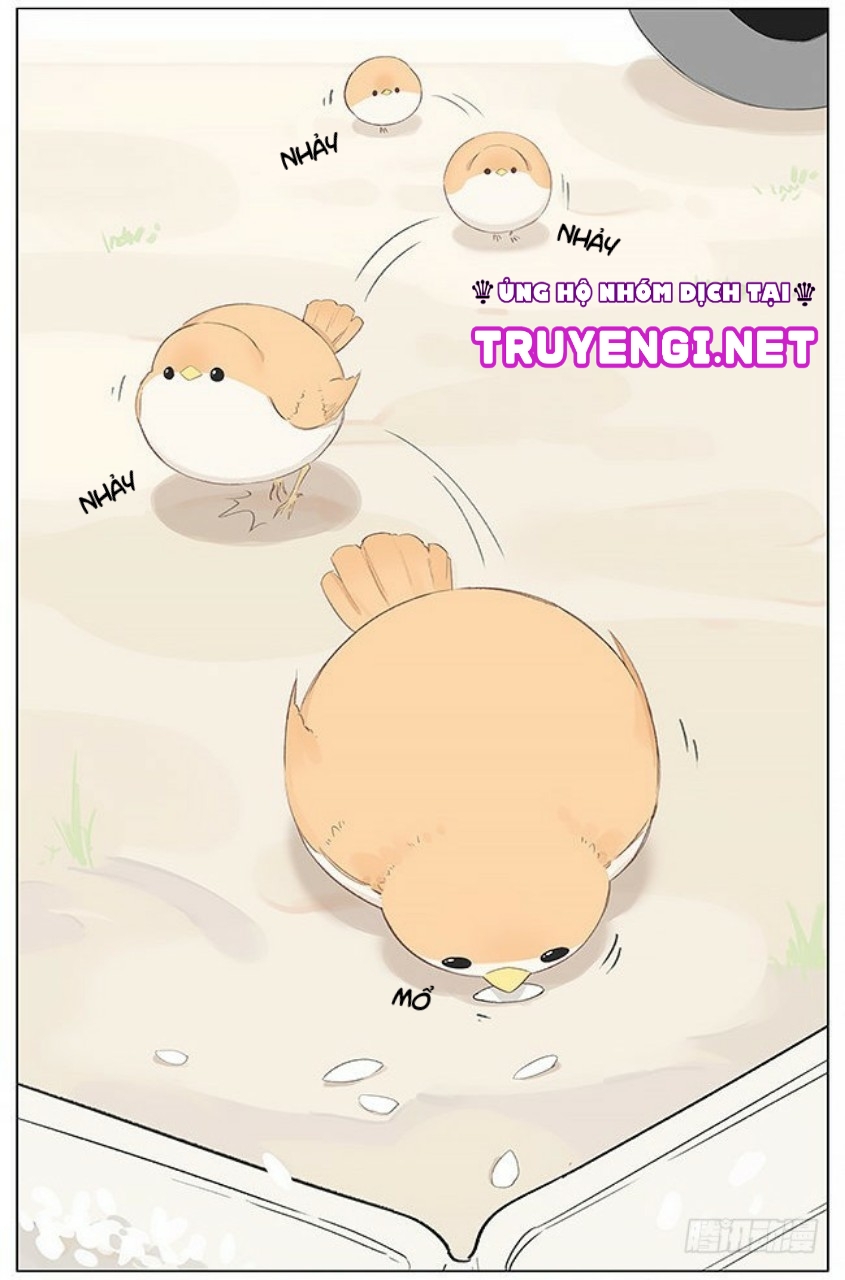 sẻ chiếu mới và nhạn phong sương chapter 4 3