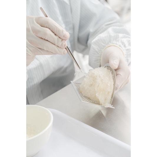 Yến đảo tinh chế Avanest 100gram