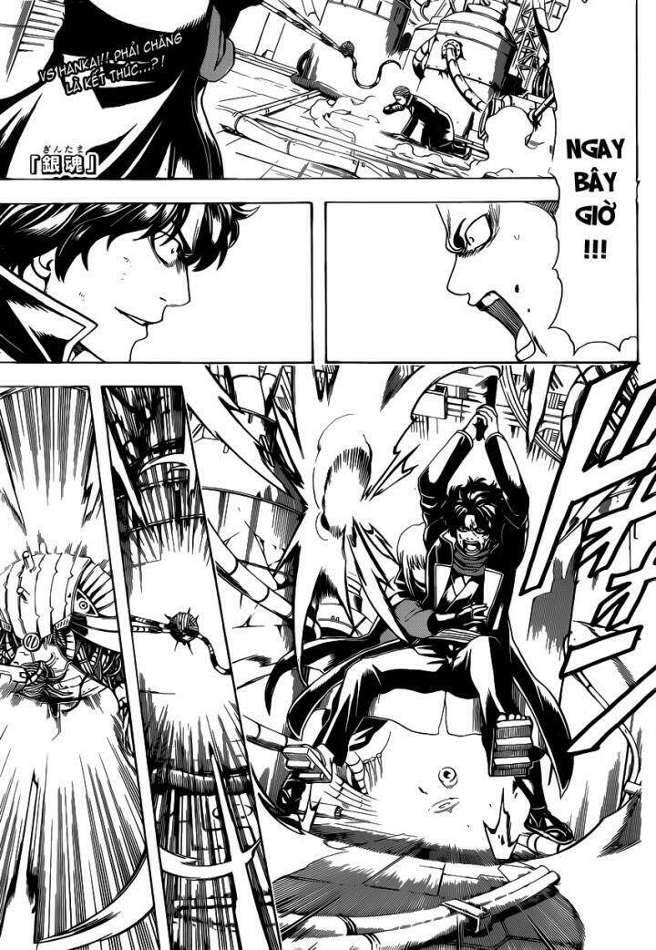 gintama - linh hồn bạc chapter 568 2