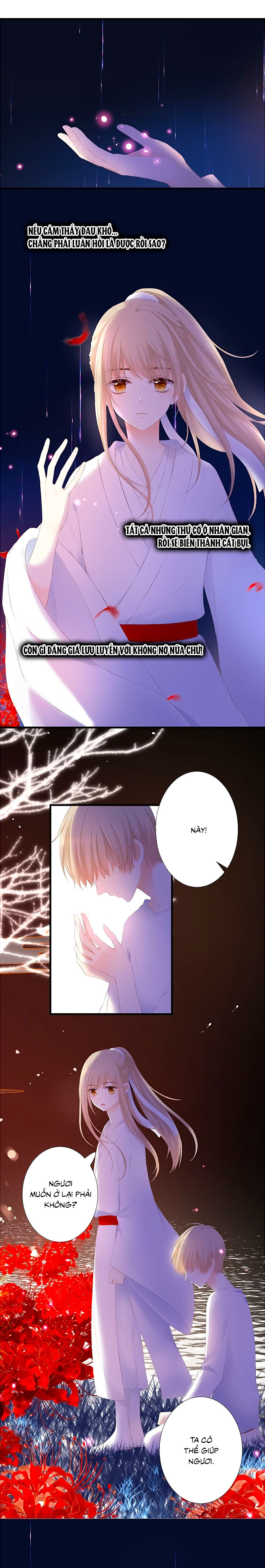 đóa hoa chớm nở chapter 39.5 8