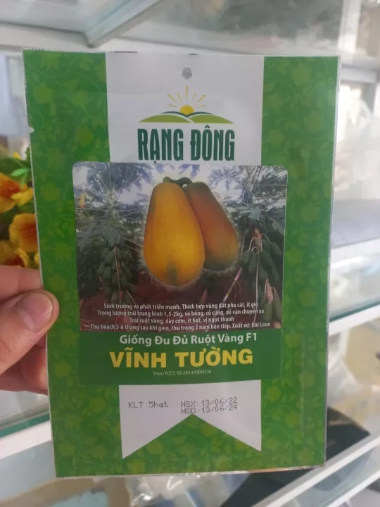 Hạt giống đu đủ ruột vàng F1 Vĩnh Tường 5 hạt