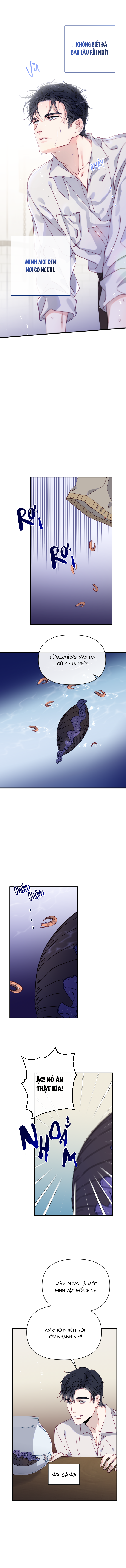 chàng tiên cá trên cạn chapter 1 20