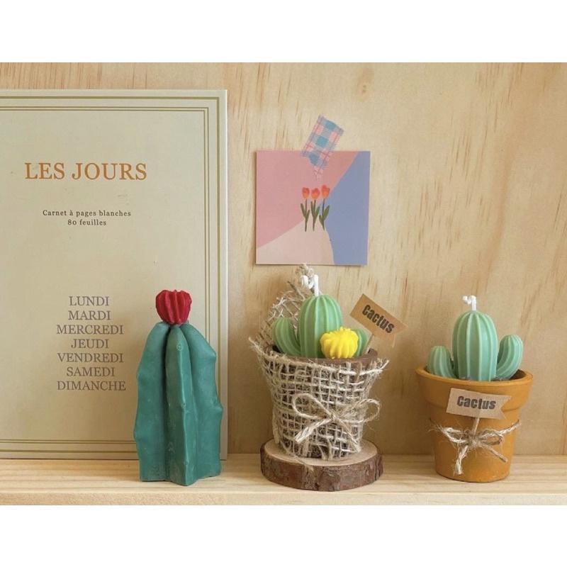 Nến Thơm Handmade Chậu Xương Rồng, Phụ Kiện Decor - Dory Lab
