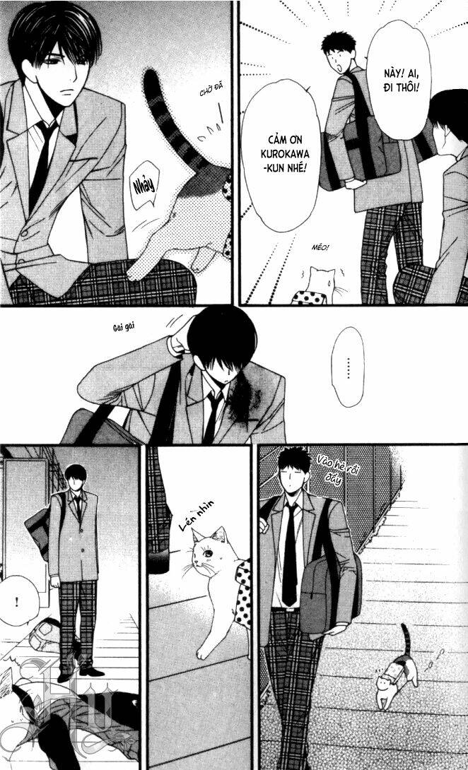 neko neko honey chapter 6 29