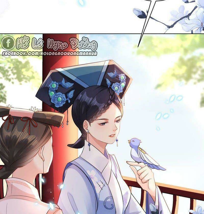 quận chúa vững vàng, thiết lập nhân vật không thể vỡ chapter 45 10