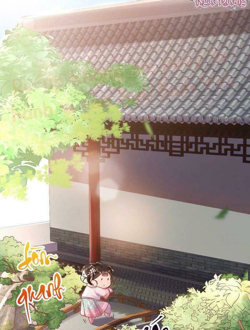 quận chúa vững vàng, thiết lập nhân vật không thể vỡ chapter 4 55