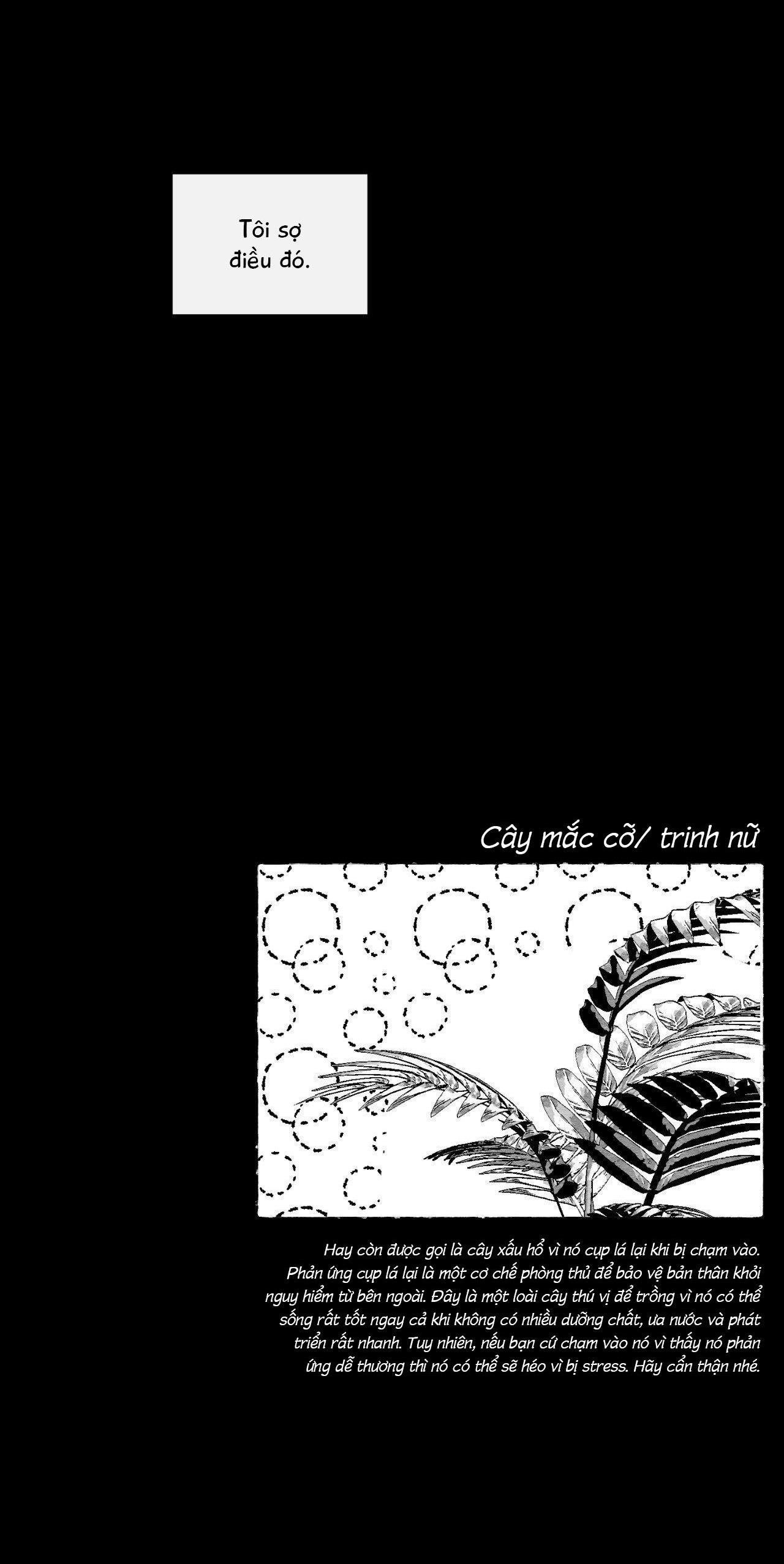 vóc dáng toàn mỹ chapter 24 73