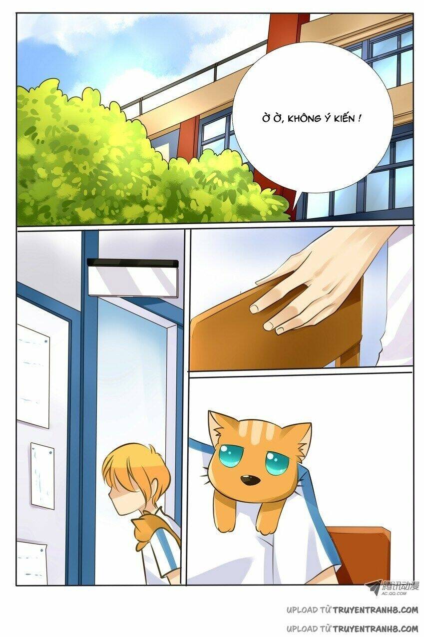 liên minh thiên kiều chapter 2 9