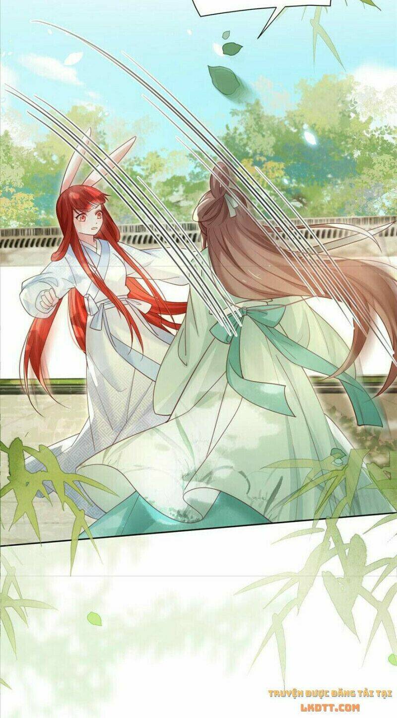 hắc hóa nam chính trực tuyến nuôi thỏ chapter 67 19