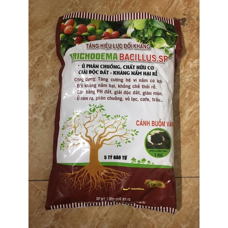 NẤM ĐỐI KHÁNG TRICHODERMA-BACILLUS 50 nghìn/1kg