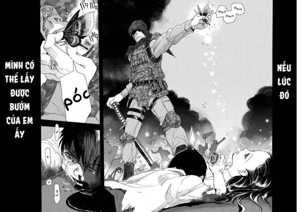 butterfly storage chapter 1 41