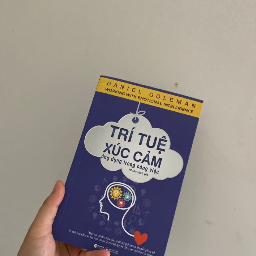 Trí Tuệ Xúc Cảm Ứng Dụng Trong Công Việc