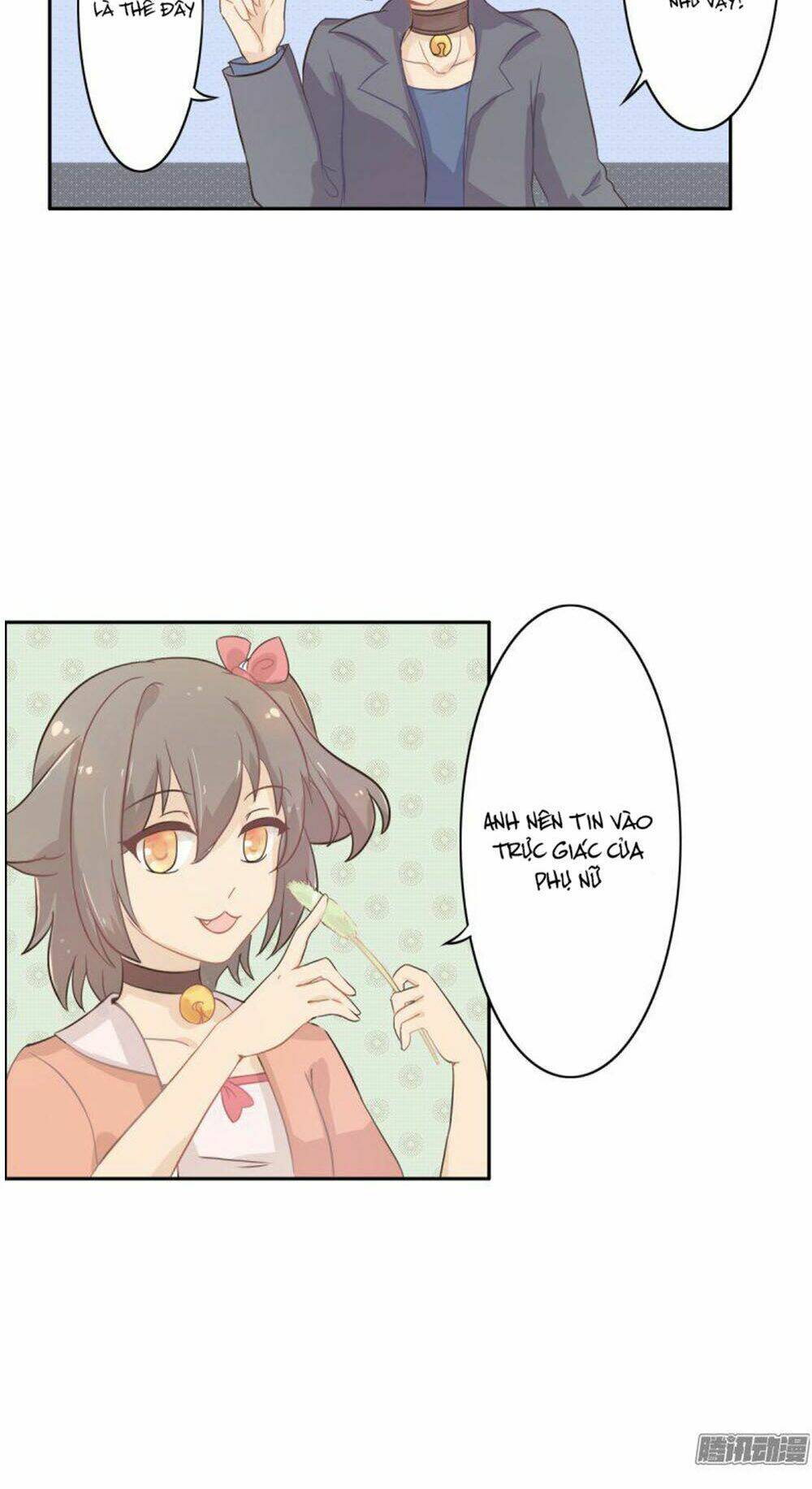 hai chú mèo totem chapter 1 27