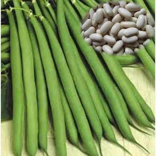 Hạt Giống Đậu Cove Hạt Trắng Dạng Leo 4 Mùa 10Gr - Phú Nông Seeds - Shop Phân Bón và Hạt Giống
