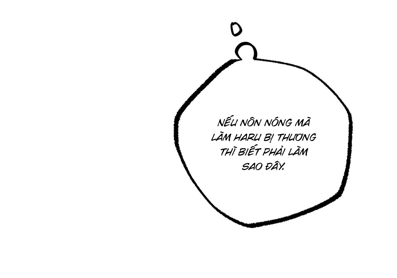 những chú thỏ của hapypy chapter 60 71