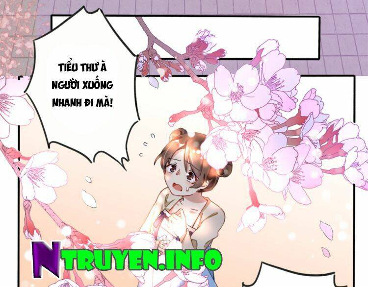 hoa nhan sách chapter 2.2 28