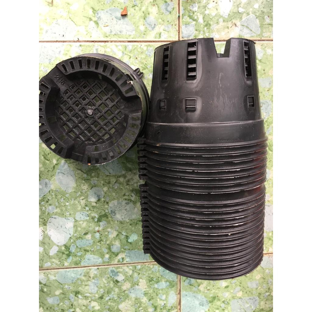 Combo 25 chậu nhựa đen Phi 16