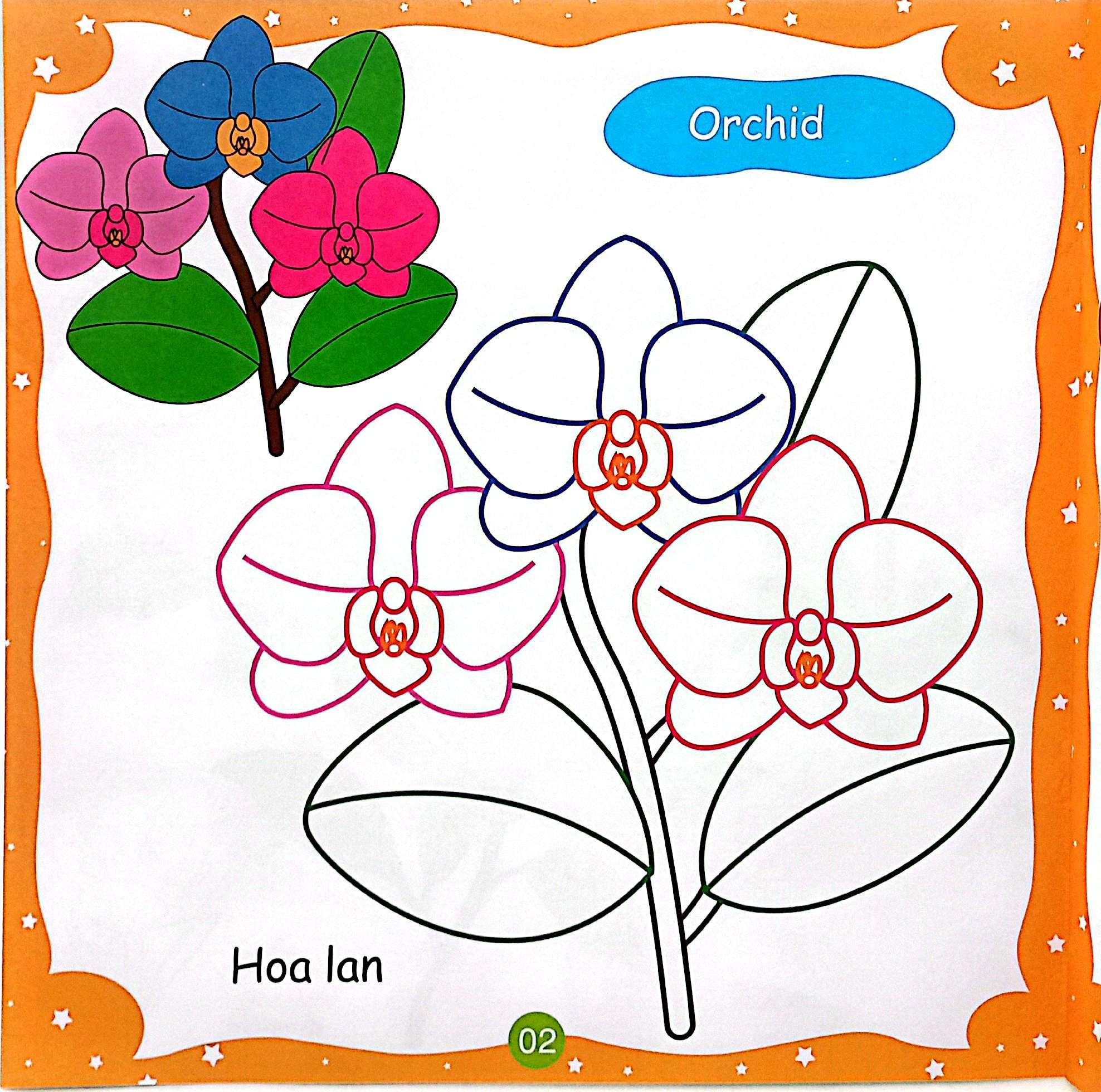 Sách - Bé Tô Màu Sáng Tạo - Các Loại Hoa