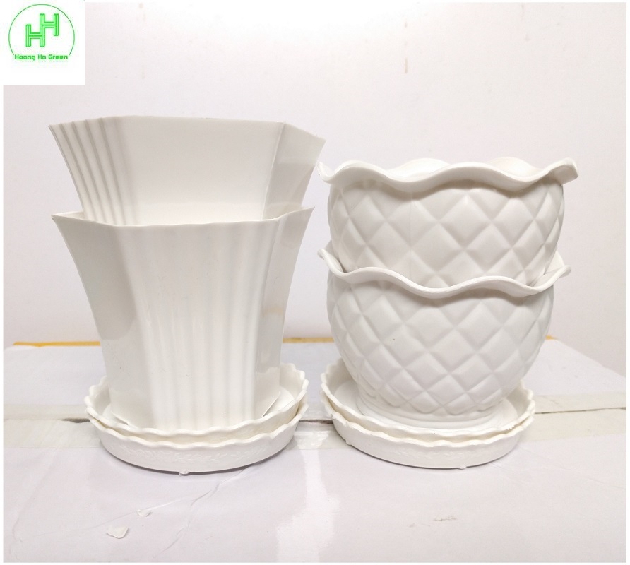 Combo 2 Chậu quả Dứa + 2 Chậu Lục giác  Sen đá , trồng cây mini, xương rồng, cây để bàn, sen đá
